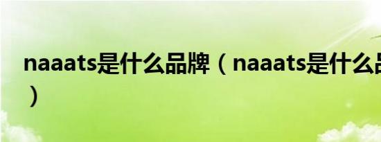 naaats是什么品牌（naaats是什么品牌轮胎）