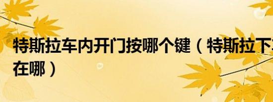 特斯拉车内开门按哪个键（特斯拉下车开门键在哪）