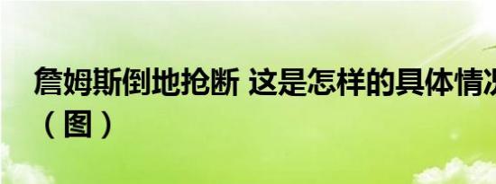 詹姆斯倒地抢断 这是怎样的具体情况是什么（图）