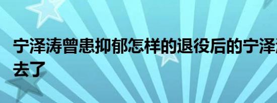 宁泽涛曾患抑郁怎样的退役后的宁泽涛都干嘛去了