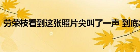 劳荣枝看到这张照片尖叫了一声 到底怎样的