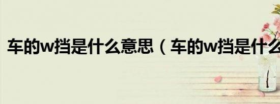 车的w挡是什么意思（车的w挡是什么意思）
