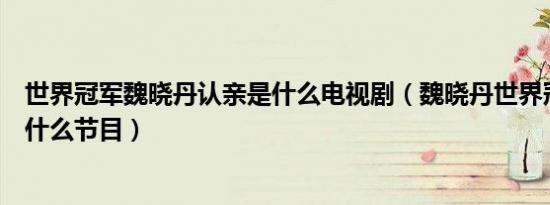 世界冠军魏晓丹认亲是什么电视剧（魏晓丹世界冠军认亲是什么节目）