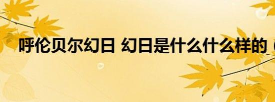 呼伦贝尔幻日 幻日是什么什么样的（图）