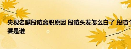 央视名嘴段暄离职原因 段暄头发怎么白了 段暄个人资料老婆是谁
