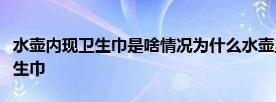 水壶内现卫生巾是啥情况为什么水壶里会有卫生巾
