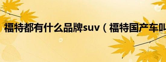 福特都有什么品牌suv（福特国产车叫什么）