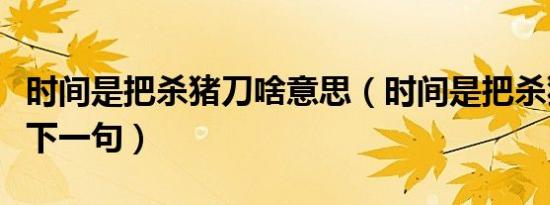 时间是把杀猪刀啥意思（时间是把杀猪刀经典下一句）