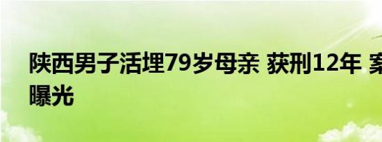陕西男子活埋79岁母亲 获刑12年 案件详情曝光