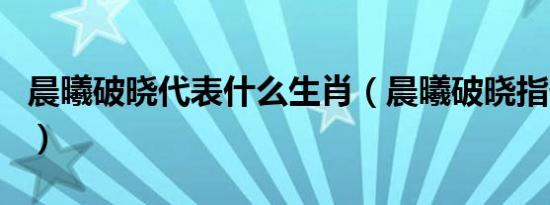 晨曦破晓代表什么生肖（晨曦破晓指什么生肖）