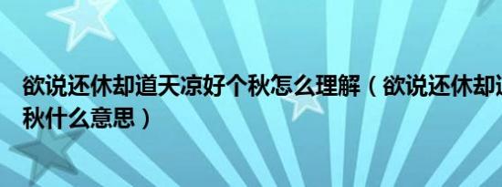 欲说还休却道天凉好个秋怎么理解（欲说还休却道天凉好个秋什么意思）