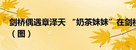 剑桥偶遇章泽天 “奶茶妹妹”在剑桥啥情况（图）