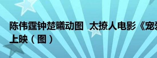 陈伟霆钟楚曦动图 太撩人电影《宠爱》即将上映（图）