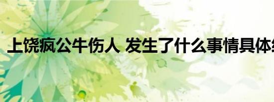 上饶疯公牛伤人 发生了什么事情具体经过是