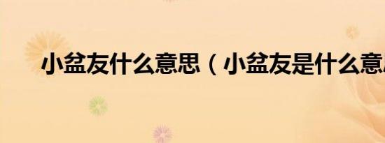 小盆友什么意思（小盆友是什么意思）