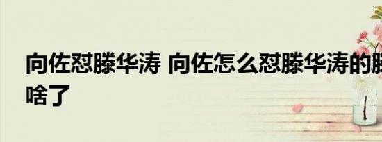 向佐怼滕华涛 向佐怎么怼滕华涛的滕华涛做啥了