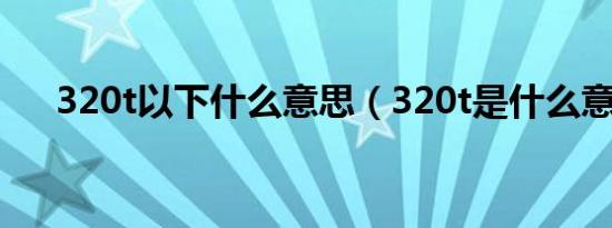 320t以下什么意思（320t是什么意思）