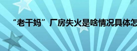 “老干妈”厂房失火是啥情况具体怎样的