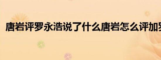 唐岩评罗永浩说了什么唐岩怎么评加罗永浩