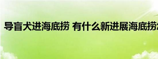 导盲犬进海底捞 有什么新进展海底捞怎么说