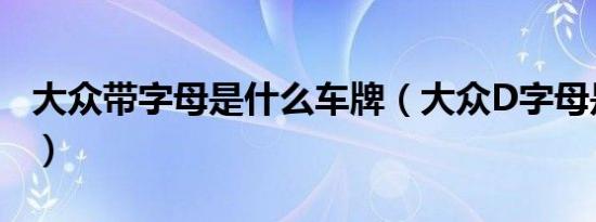 大众带字母是什么车牌（大众D字母是什么车）