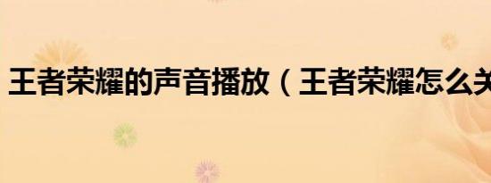 王者荣耀的声音播放（王者荣耀怎么关声音）
