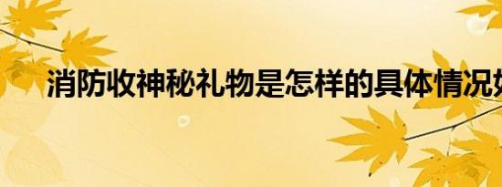 消防收神秘礼物是怎样的具体情况如何