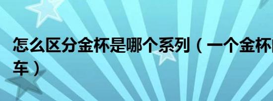 怎么区分金杯是哪个系列（一个金杯的是什么车）