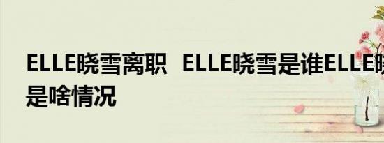 ELLE晓雪离职 ELLE晓雪是谁ELLE晓雪离职是啥情况