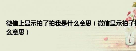 微信上显示拍了拍我是什么意思（微信显示拍了拍对方是什么意思）