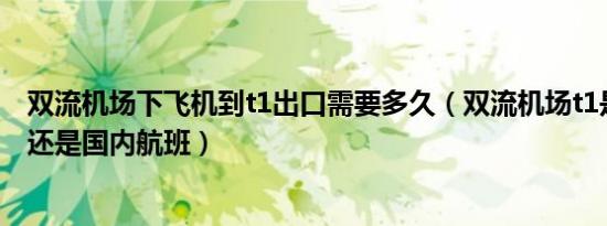 双流机场下飞机到t1出口需要多久（双流机场t1是国际航班还是国内航班）