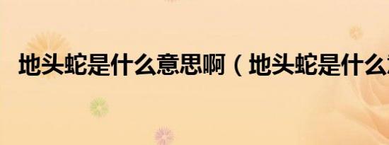 地头蛇是什么意思啊（地头蛇是什么意思）