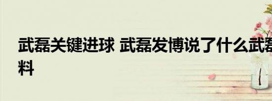 武磊关键进球 武磊发博说了什么武磊个人资料