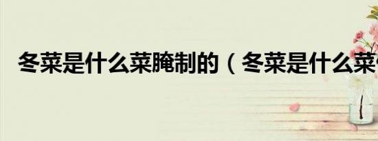 冬菜是什么菜腌制的（冬菜是什么菜做的）