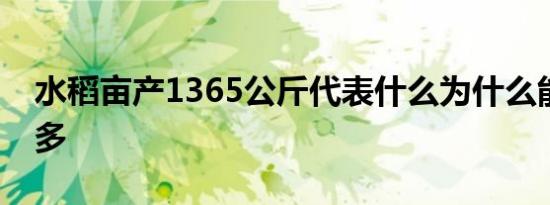 水稻亩产1365公斤代表什么为什么能产这么多