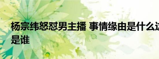 杨宗纬怒怼男主播 事情缘由是什么这位主播是谁
