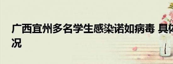 广西宜州多名学生感染诺如病毒 具体是啥情况