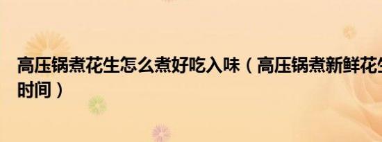 高压锅煮花生怎么煮好吃入味（高压锅煮新鲜花生需要多少时间）
