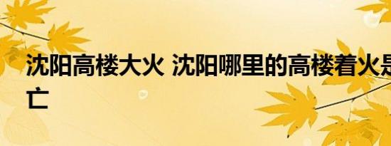 沈阳高楼大火 沈阳哪里的高楼着火是否有伤亡