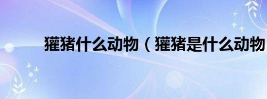 獾猪什么动物（獾猪是什么动物）