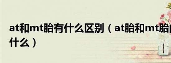 at和mt胎有什么区别（at胎和mt胎的区别是什么）
