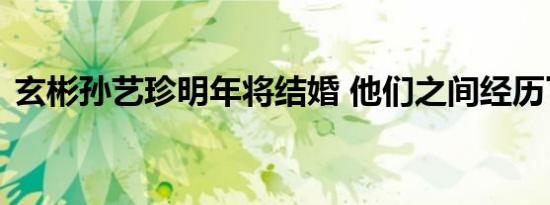 玄彬孙艺珍明年将结婚 他们之间经历了什么