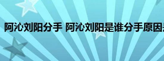 阿沁刘阳分手 阿沁刘阳是谁分手原因是什么