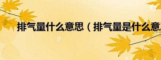 排气量什么意思（排气量是什么意思）