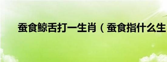 蚕食鲸舌打一生肖（蚕食指什么生肖）