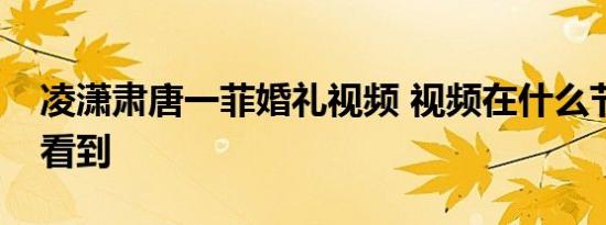 凌潇肃唐一菲婚礼视频 视频在什么节目可以看到