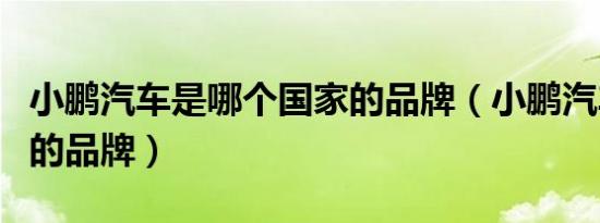 小鹏汽车是哪个国家的品牌（小鹏汽车是哪国的品牌）