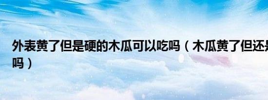 外表黄了但是硬的木瓜可以吃吗（木瓜黄了但还是硬的能吃吗）