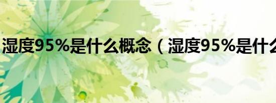 湿度95%是什么概念（湿度95%是什么概念）
