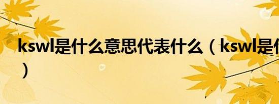 kswl是什么意思代表什么（kswl是什么意思）